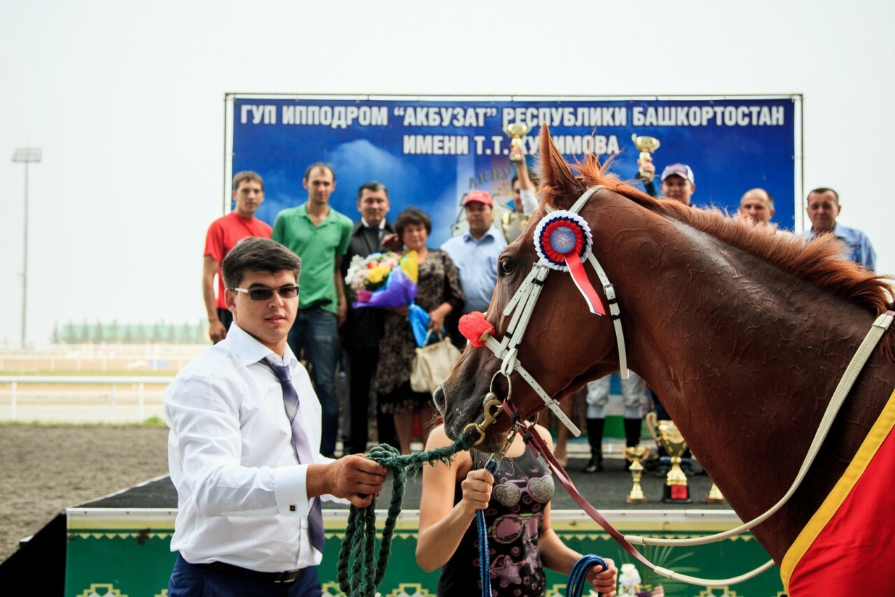 Уфа ипподром акбузат карта