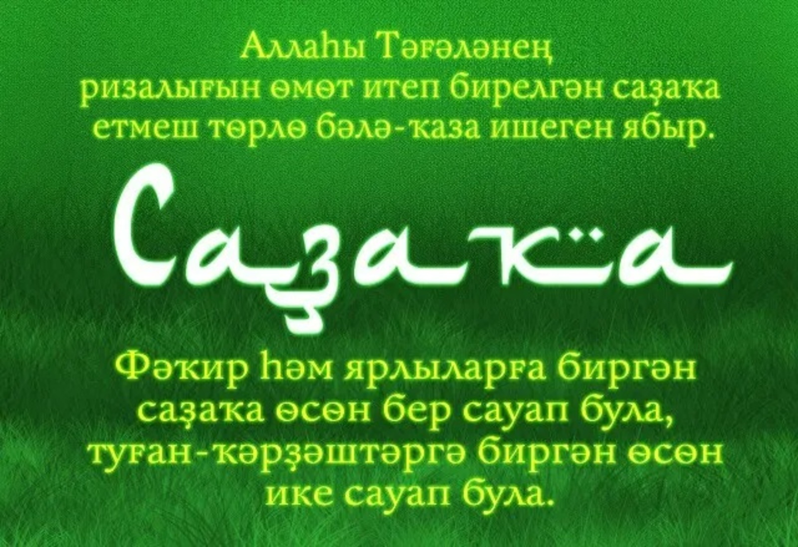 Шайхаддин Дуамбаев