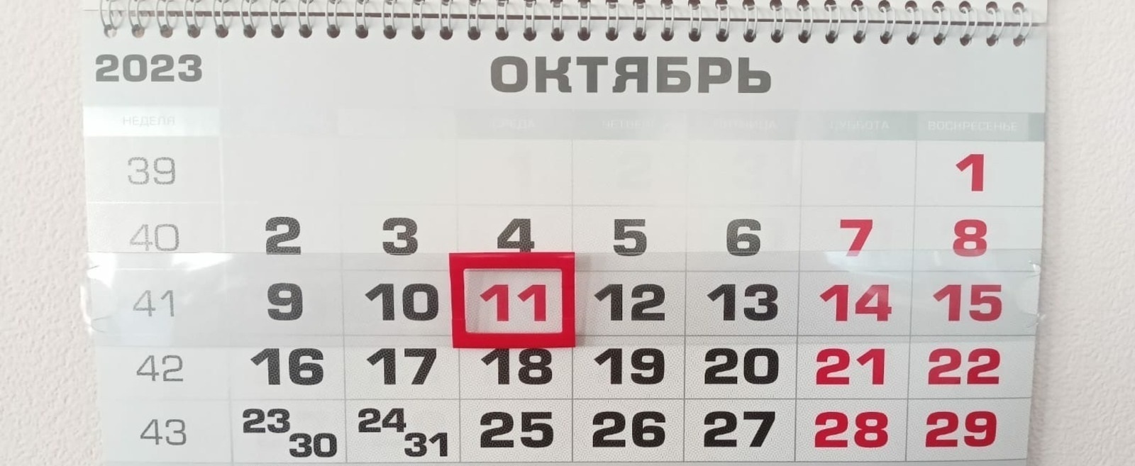 Алда - байрам!