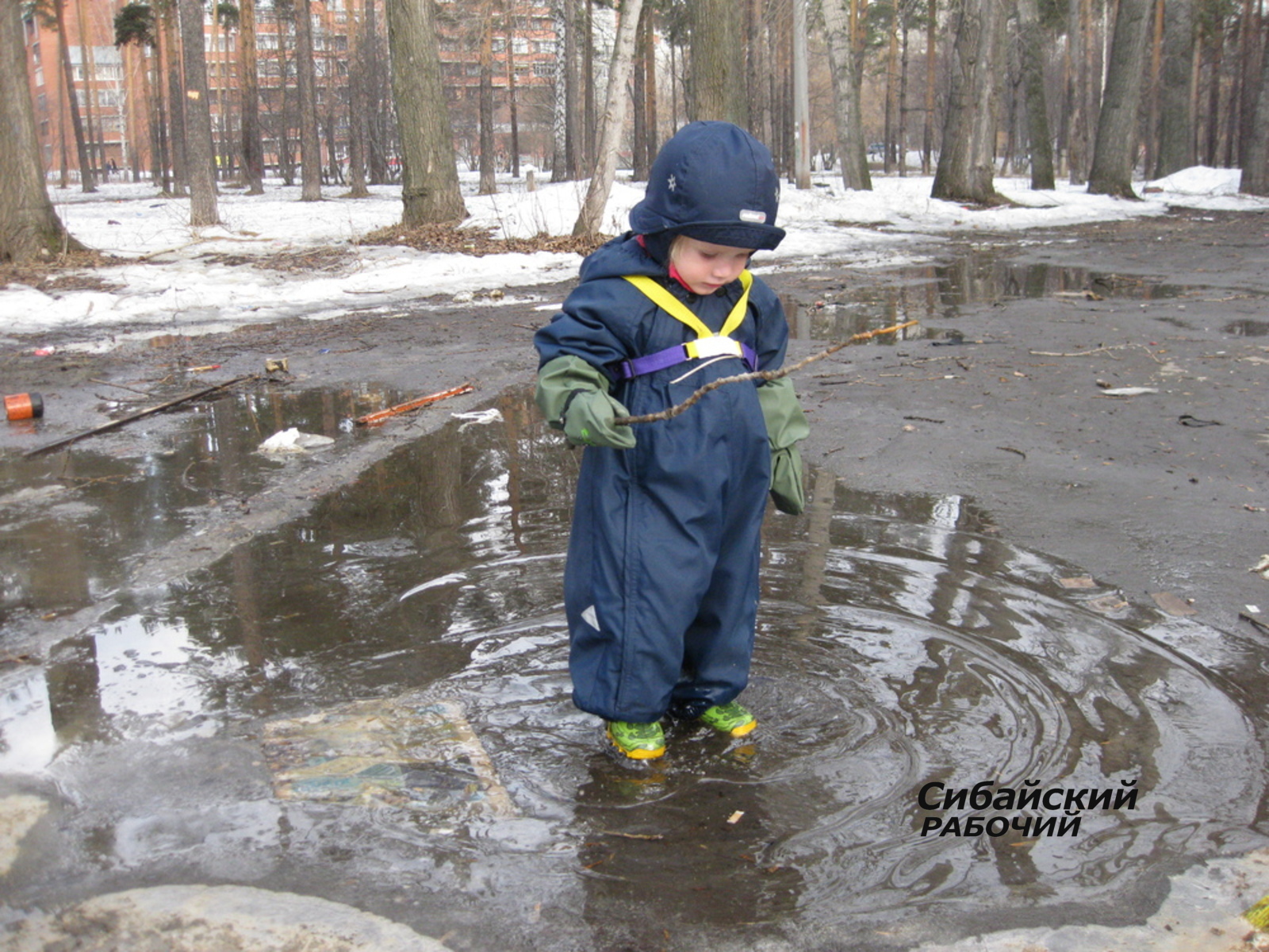 Везде лужи. Лужа летом. Лужи весной. Лужи весной. Российские дворы дожди.