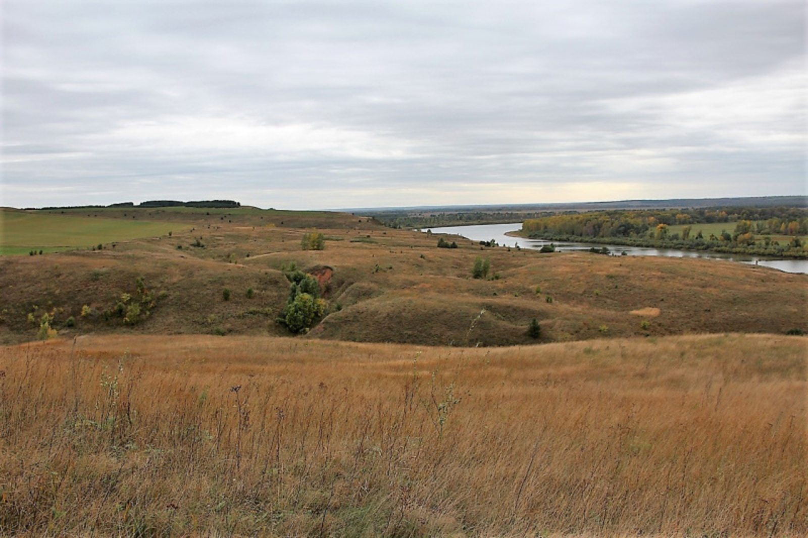 Башкирская земля красная. Участки в башкирии. Ижс в башкортостане. Земля на торгах. Село поды.