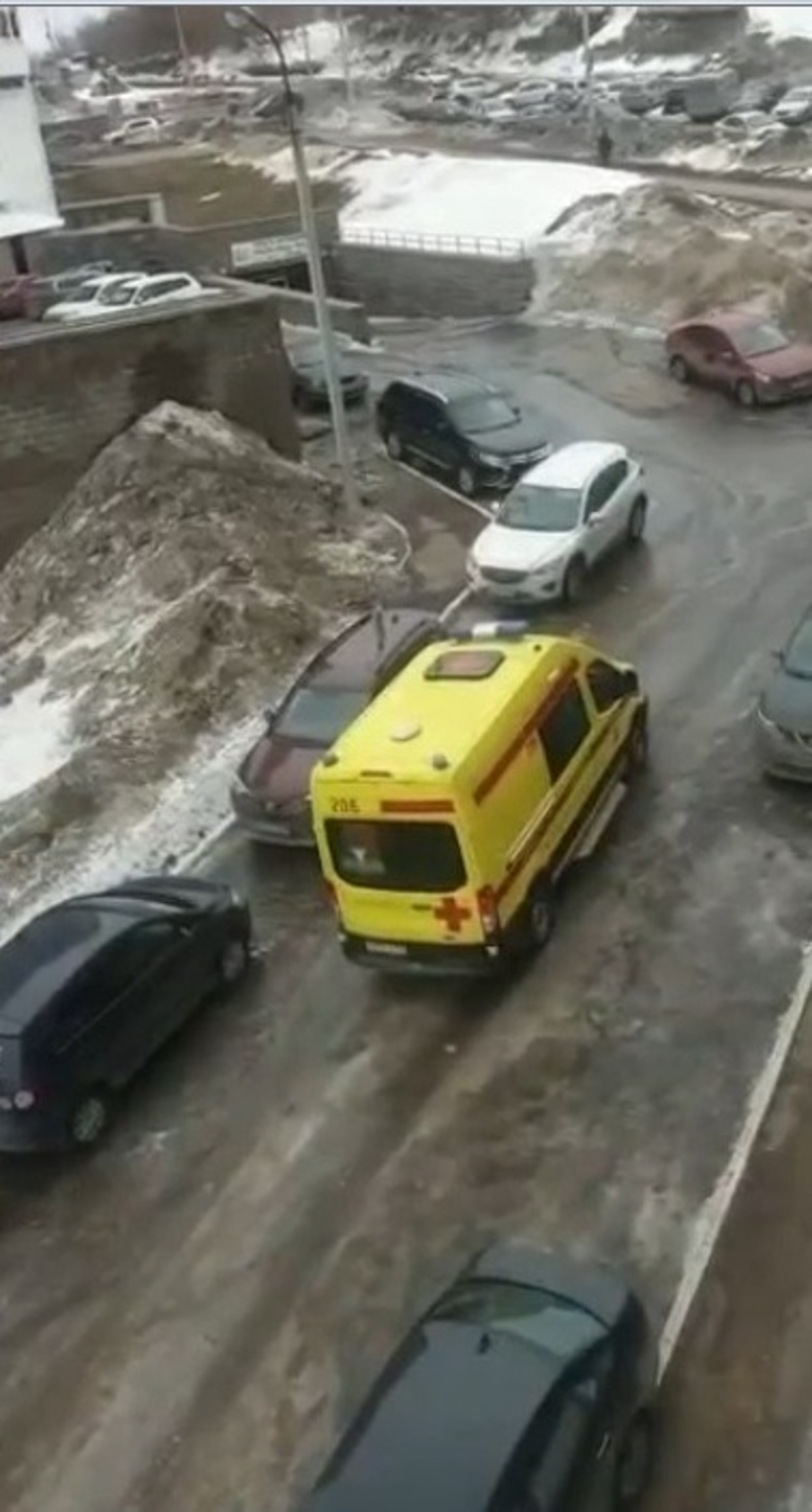 скриншот видео