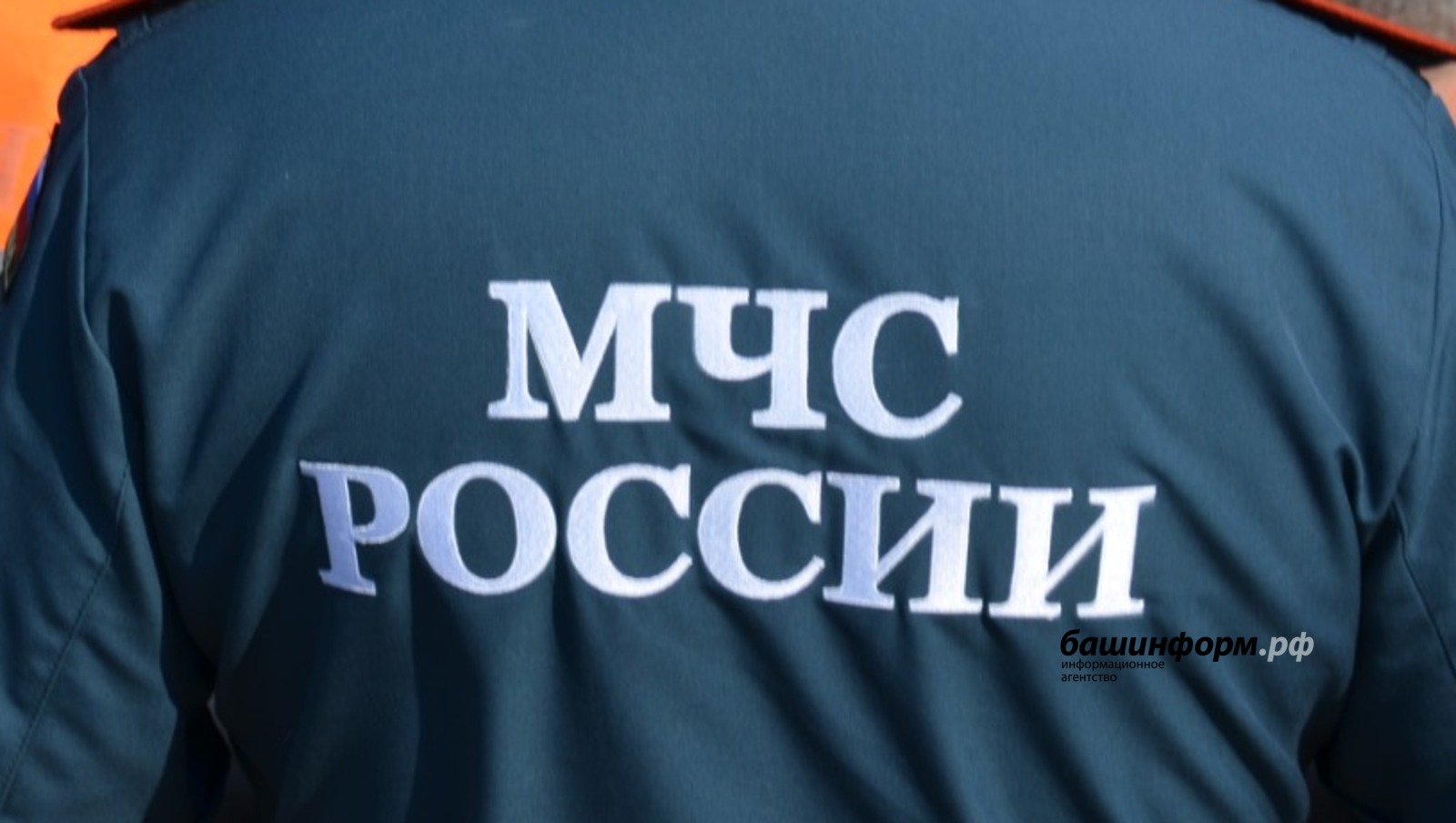 Ксения Калинина