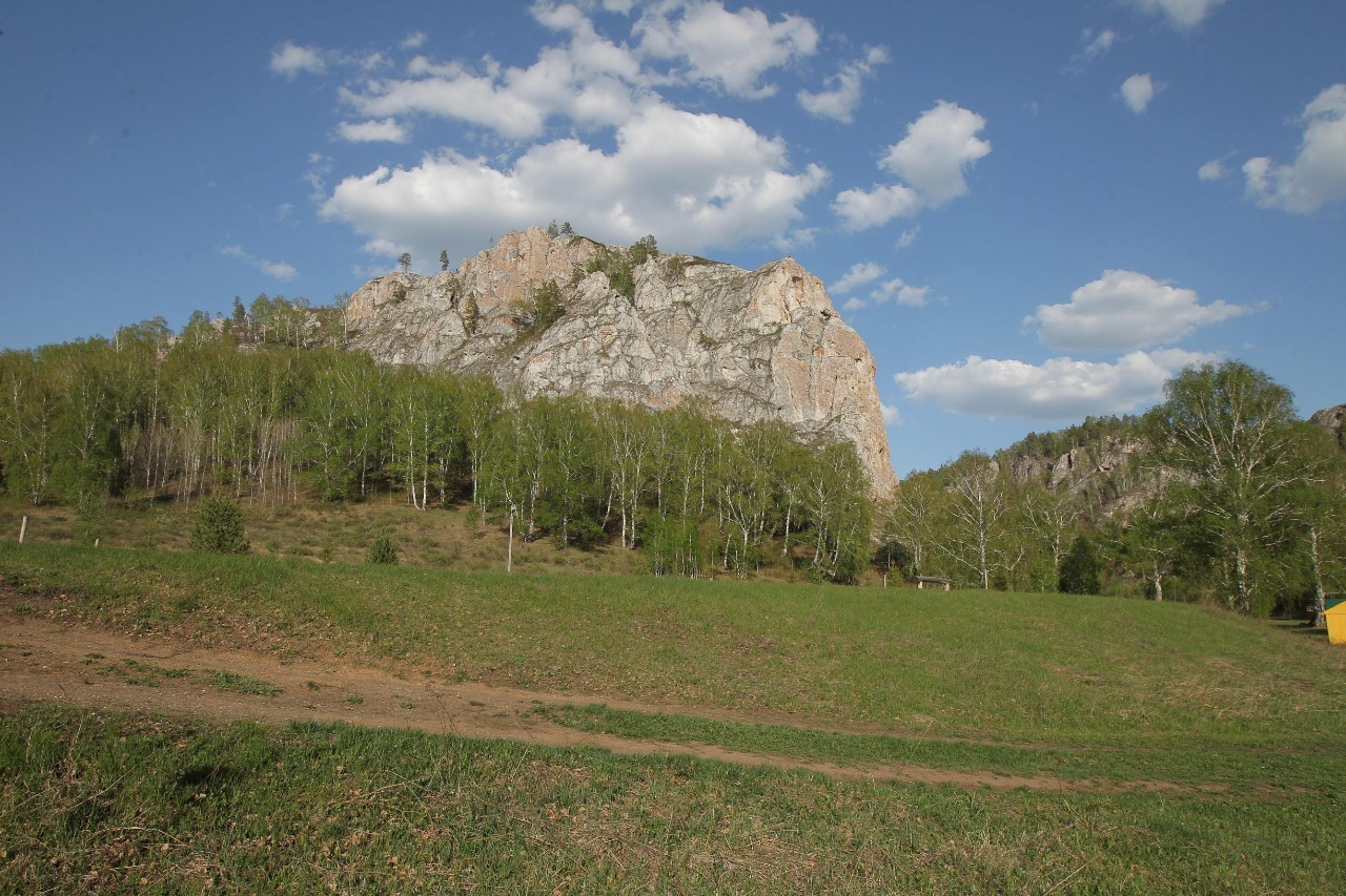 Кугарчинский район лес