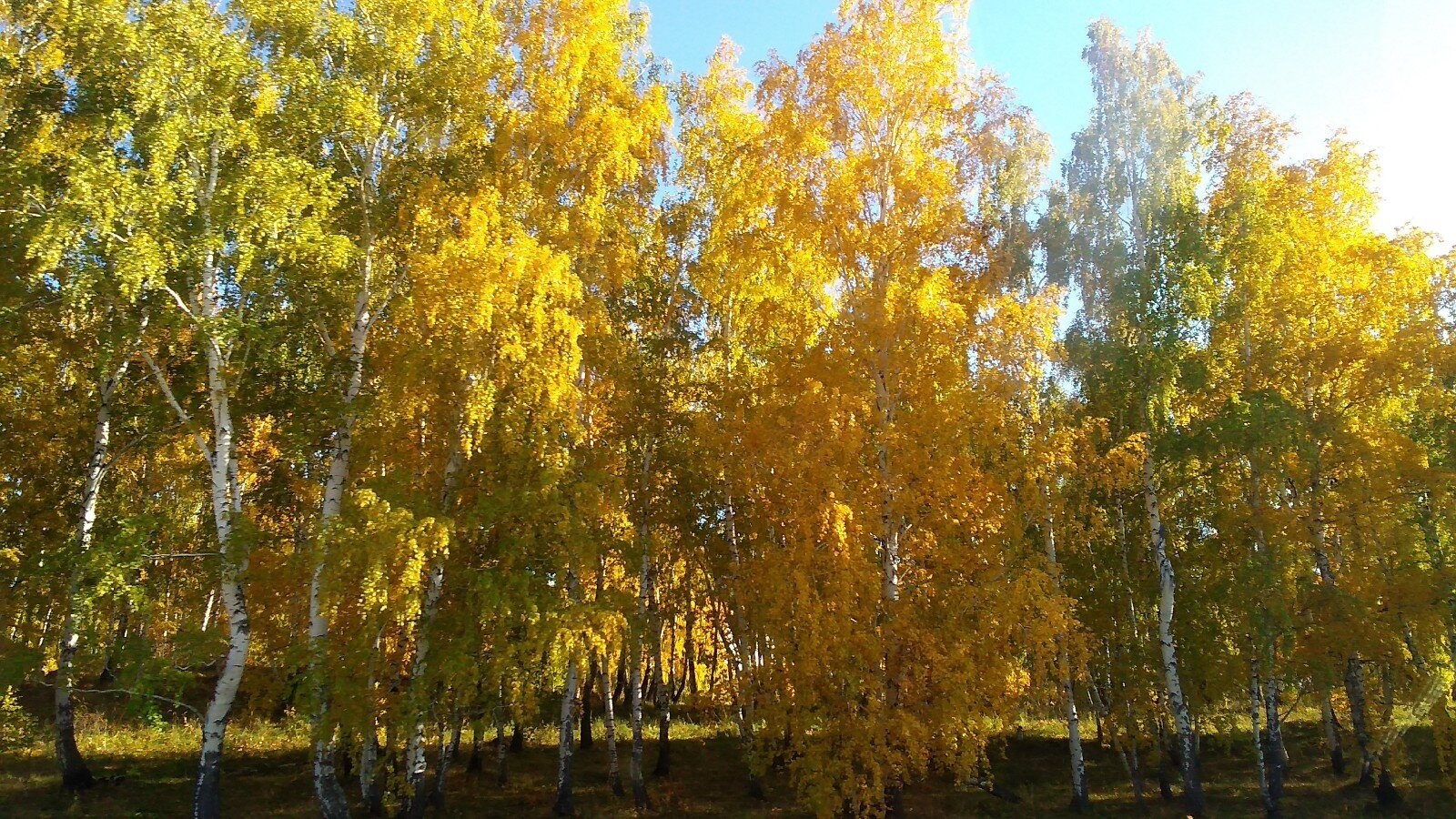 Октябрь айына һынамыштар