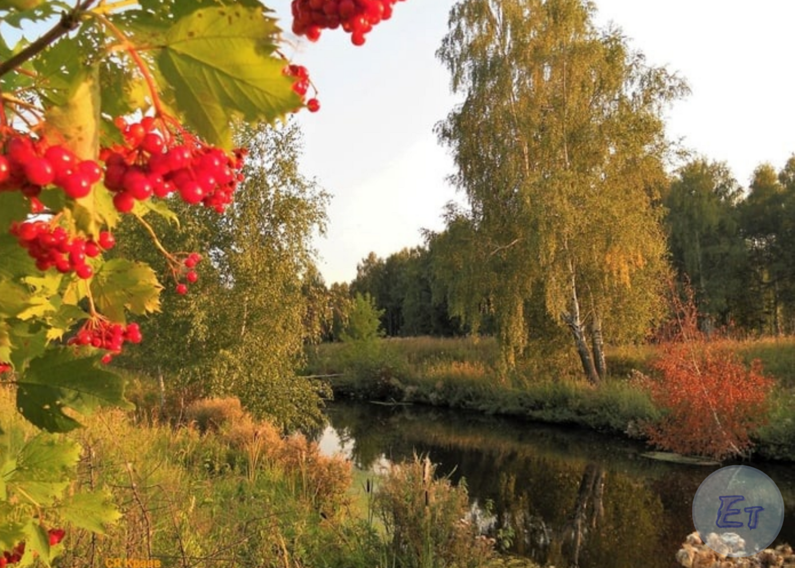 Природа Нашего Края