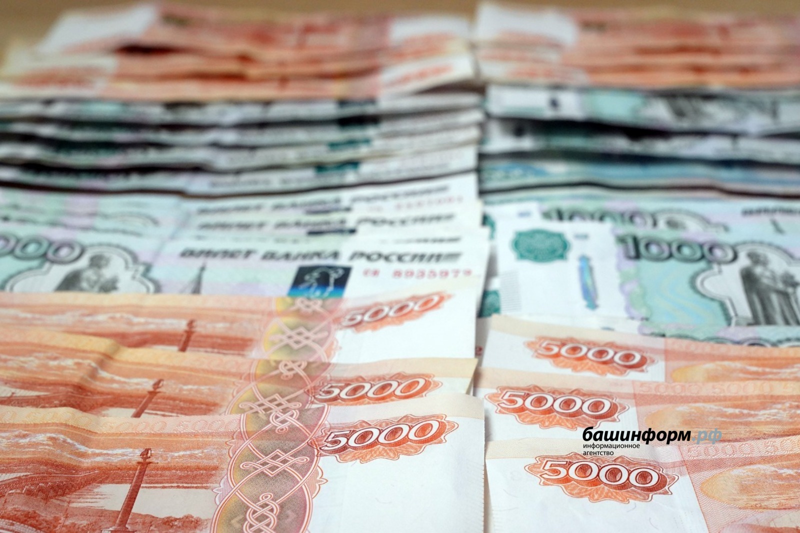 Субсидии башкирии. Субсидии башкирии