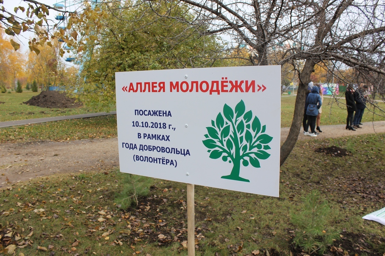 Табличка дерево. Табличка для аллеи. Табличка аллея деревьев. Таблички для саженцев. Дерево посажено в честь