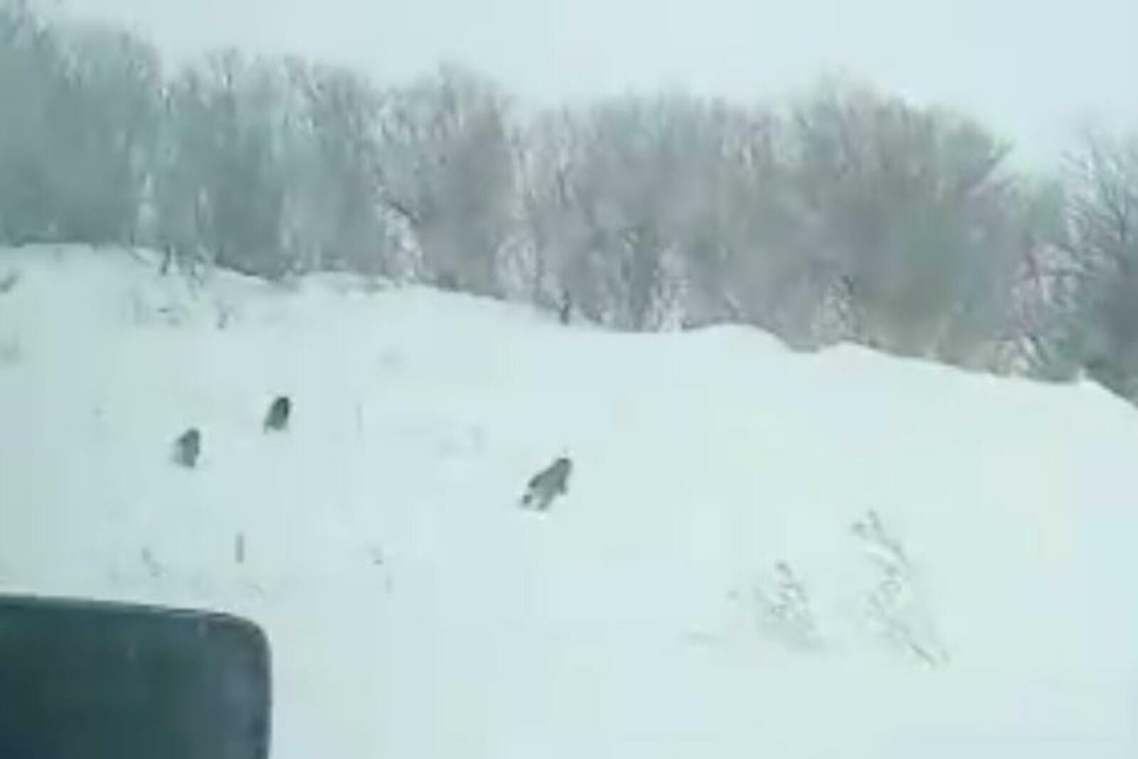 соцсети