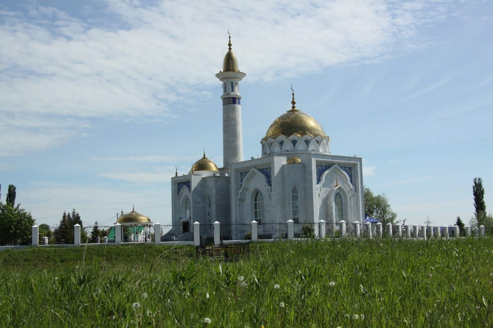 Евгении Сюткиной.