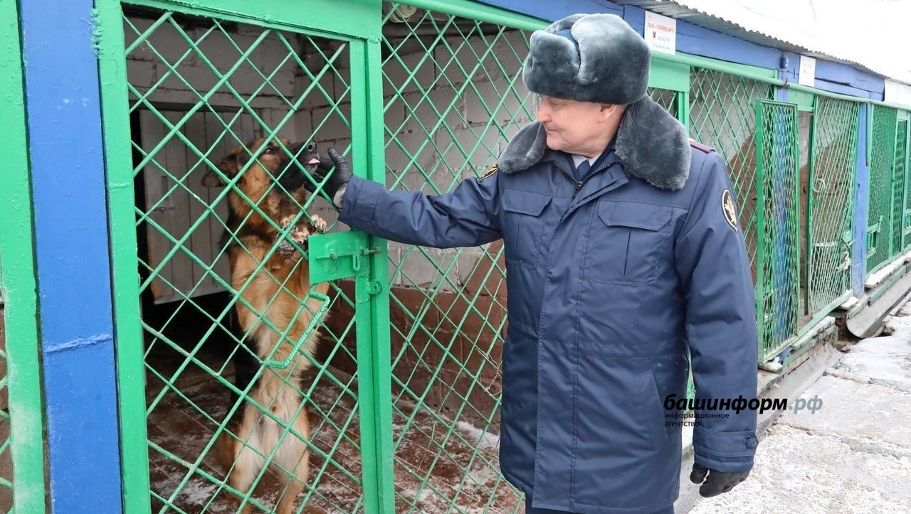 Валерий Шахов