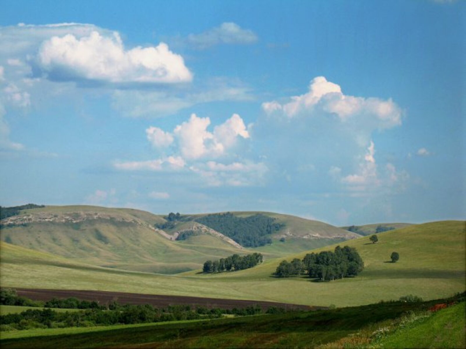 Фото с сайта www.bashunter.ru.