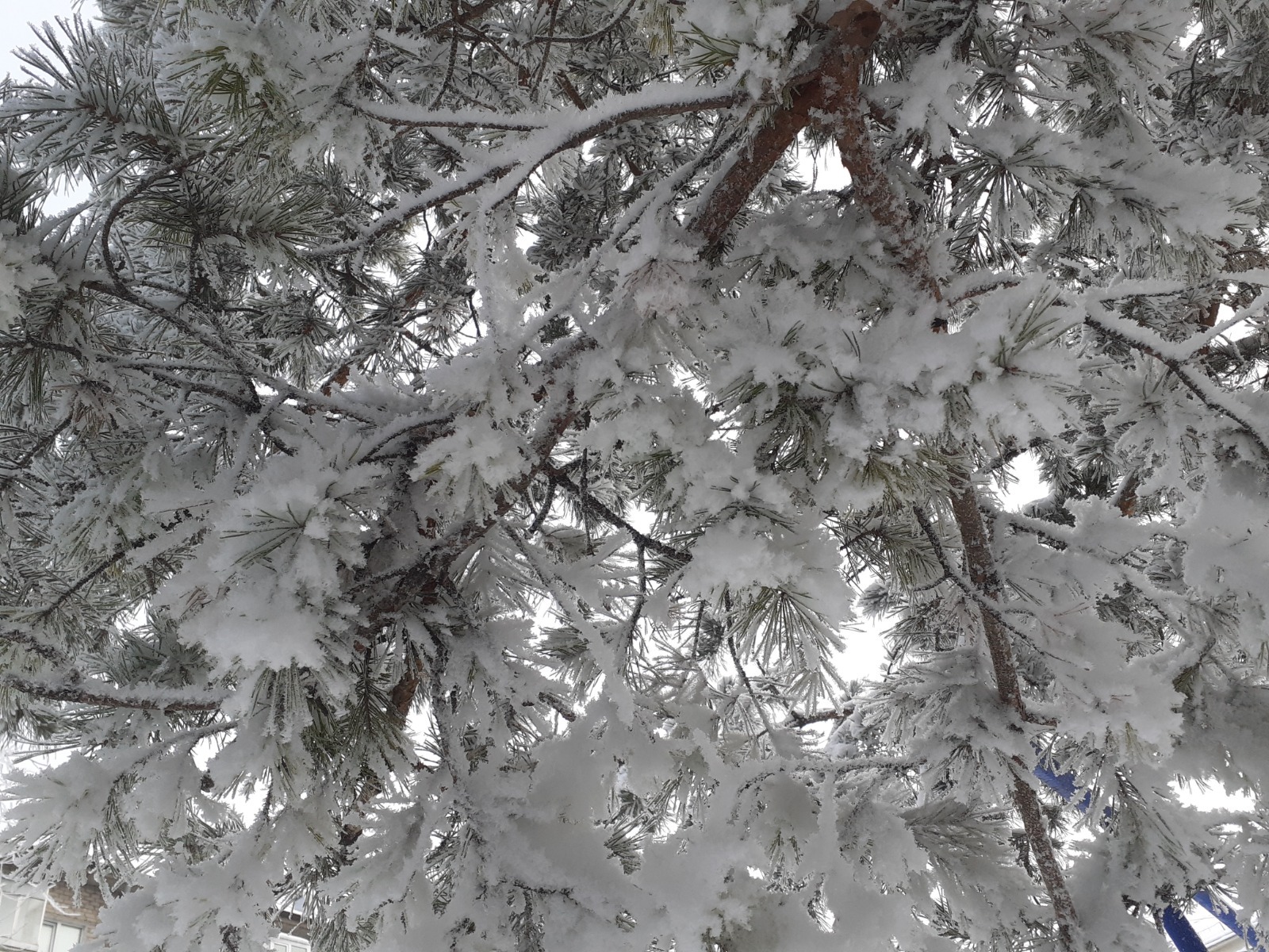 5 градусов на термометре. самая низкая температура в башкирии сегодня. самая низкая температура в башкирии сегодня. самая низкая температура в башкирии сегодня. самая низкая температура в башкирии сегодня.