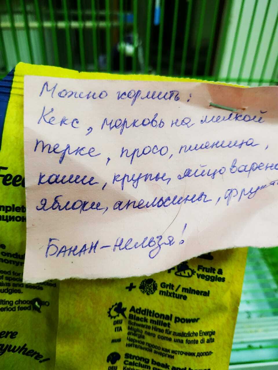 11 записок