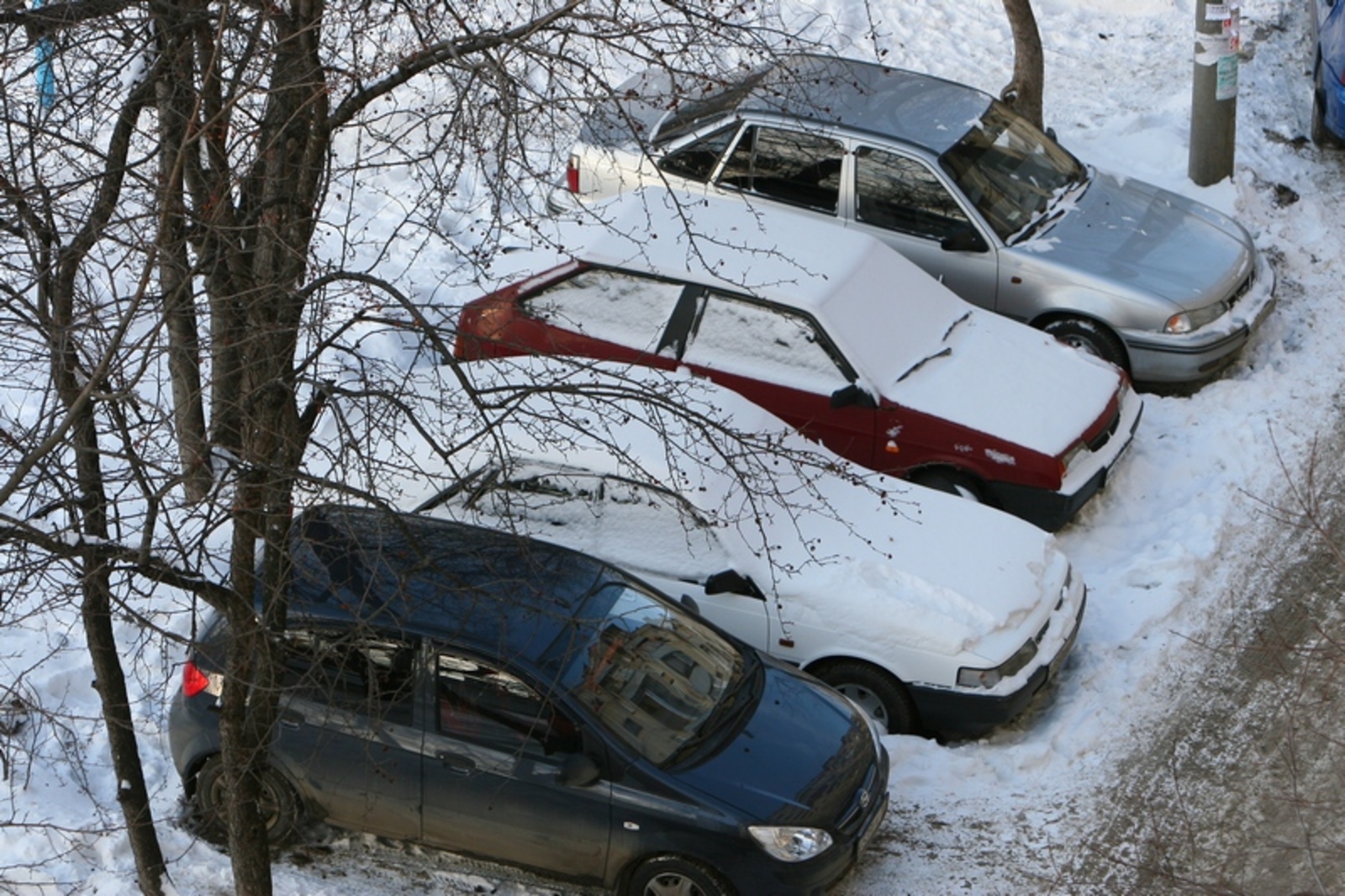 Фото Андрея Старостина.