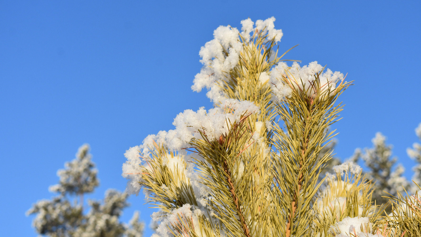 Когда потеплеет в башкирии 2024. Мороз ночью. Жаркий август. Первый снег в уфе 2022. Когда потеплеет в башкирии 2024.
