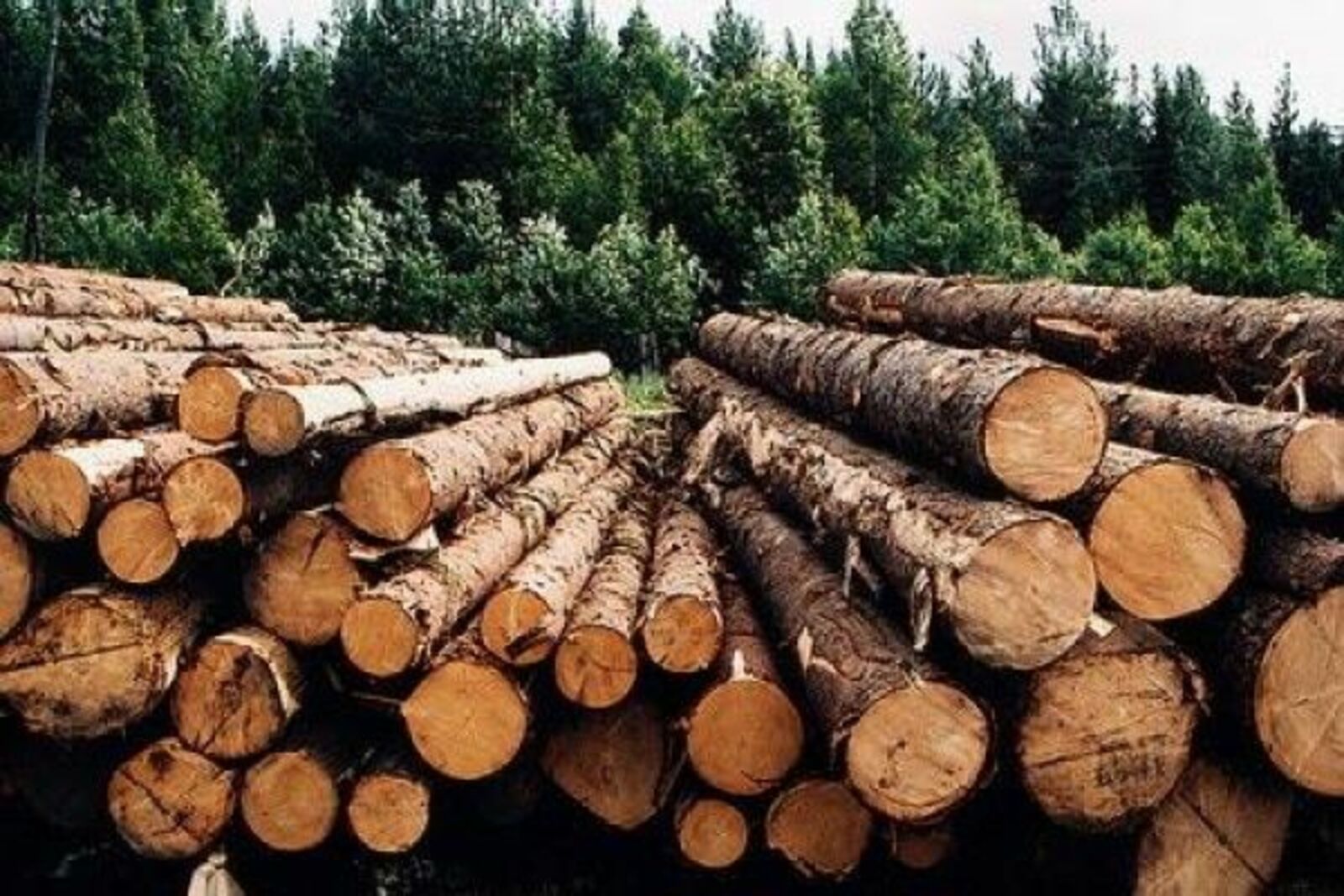 Фото с сайта www.gornovosti.ru.