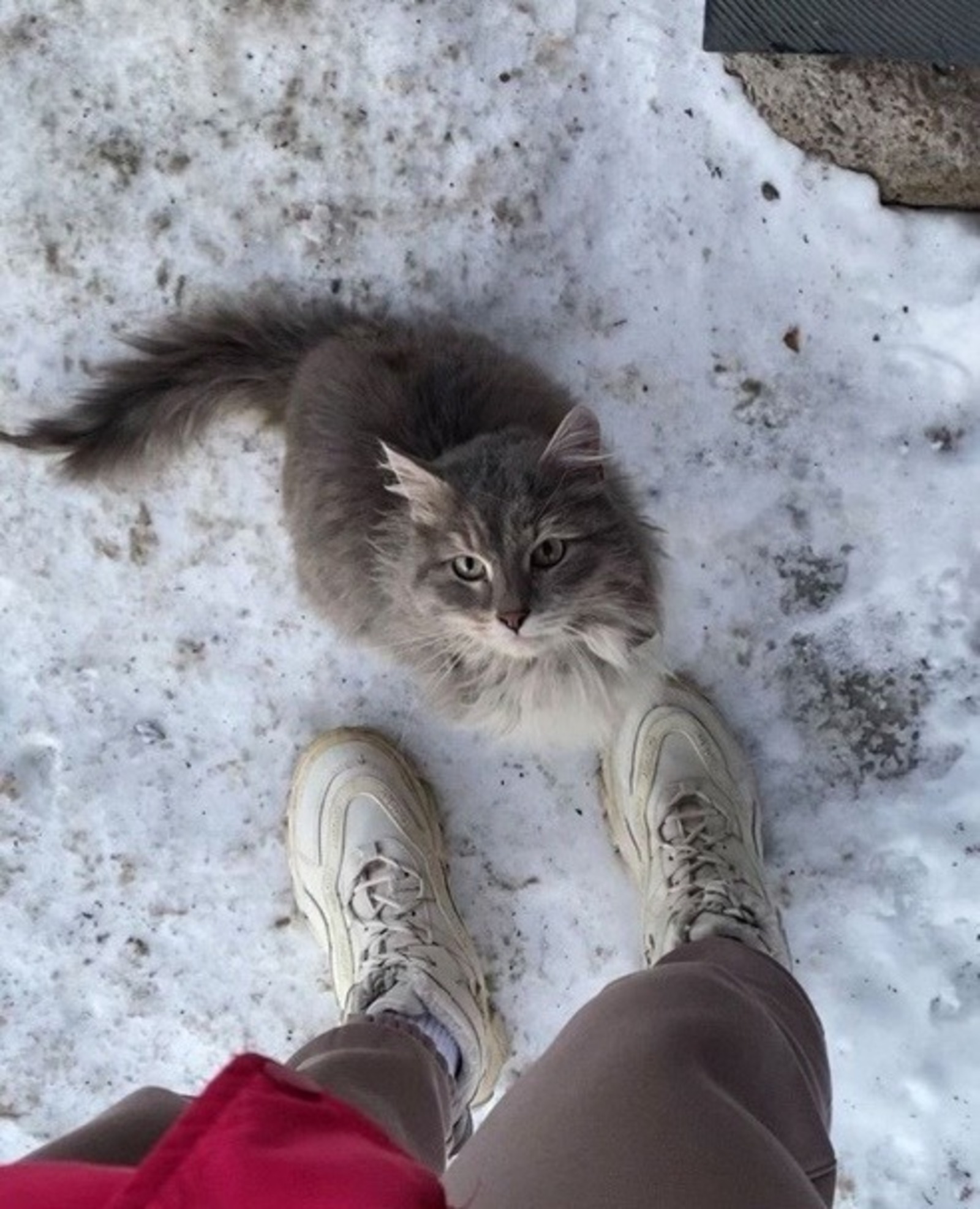 Айгуль Мавлютова