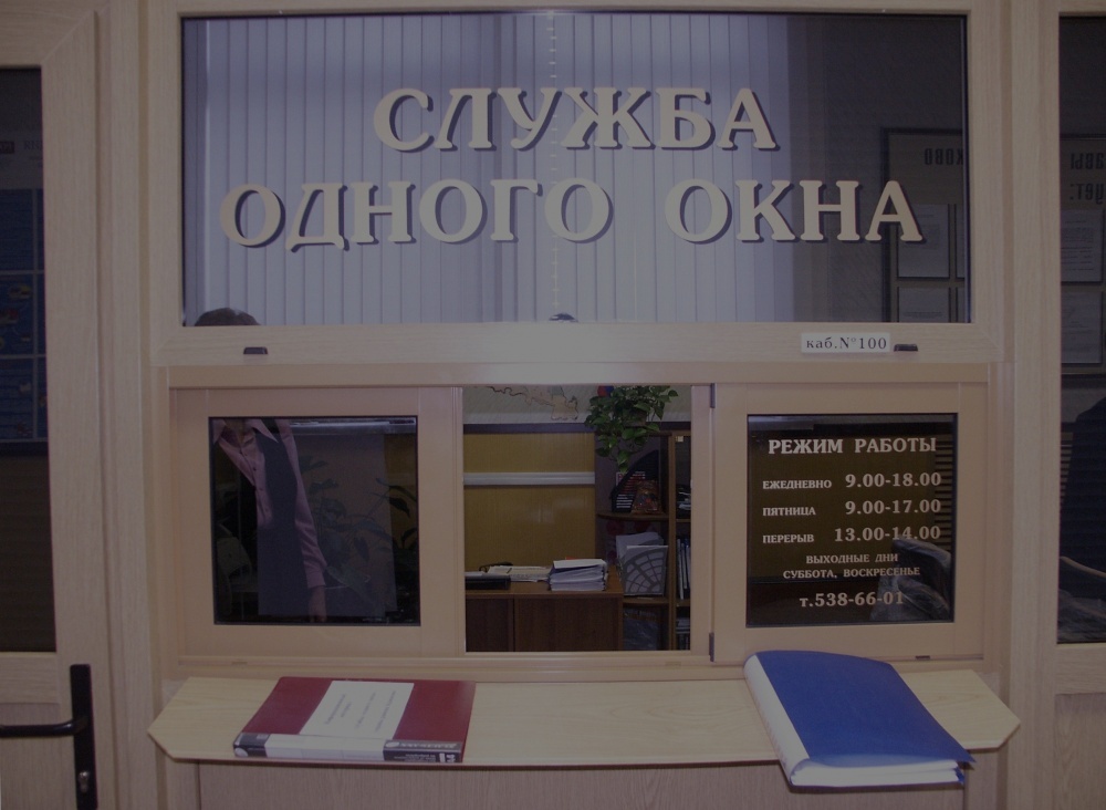 Единое окно картинка