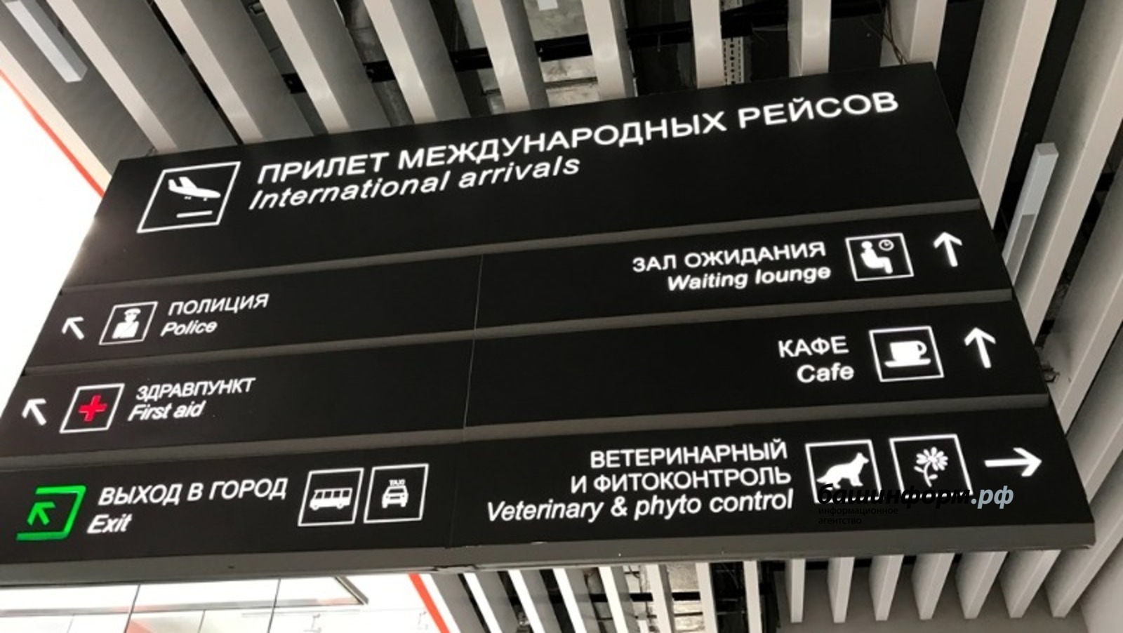 Ксения Калинина