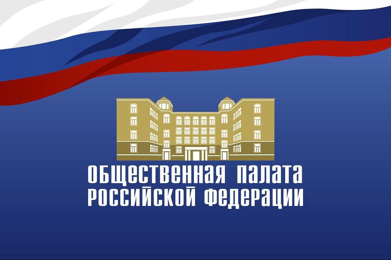 Презентация общественной палаты