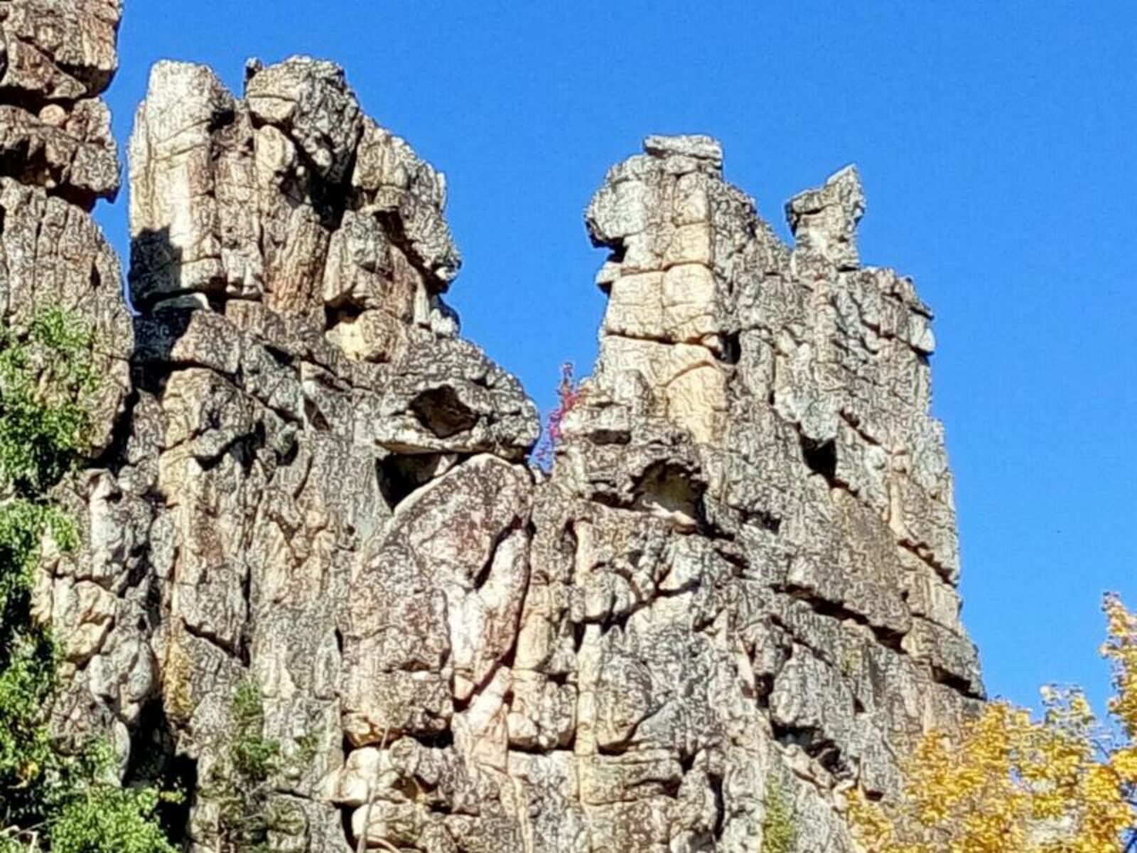 Фото предоставлено Руфиной Шагаповой.