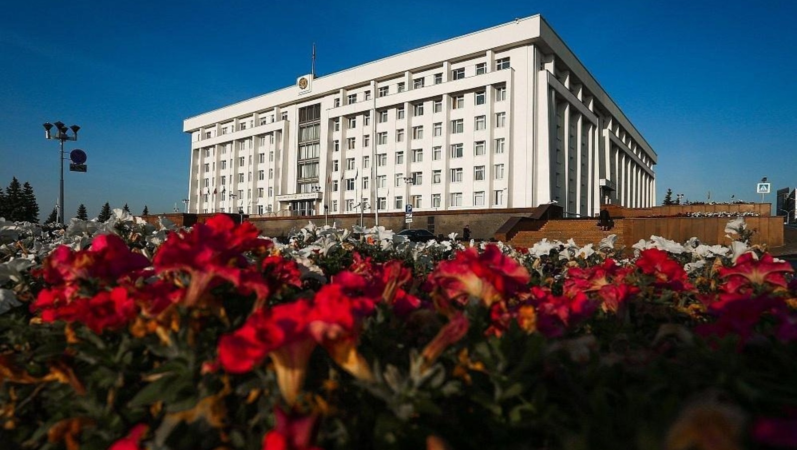 glavarb.ru