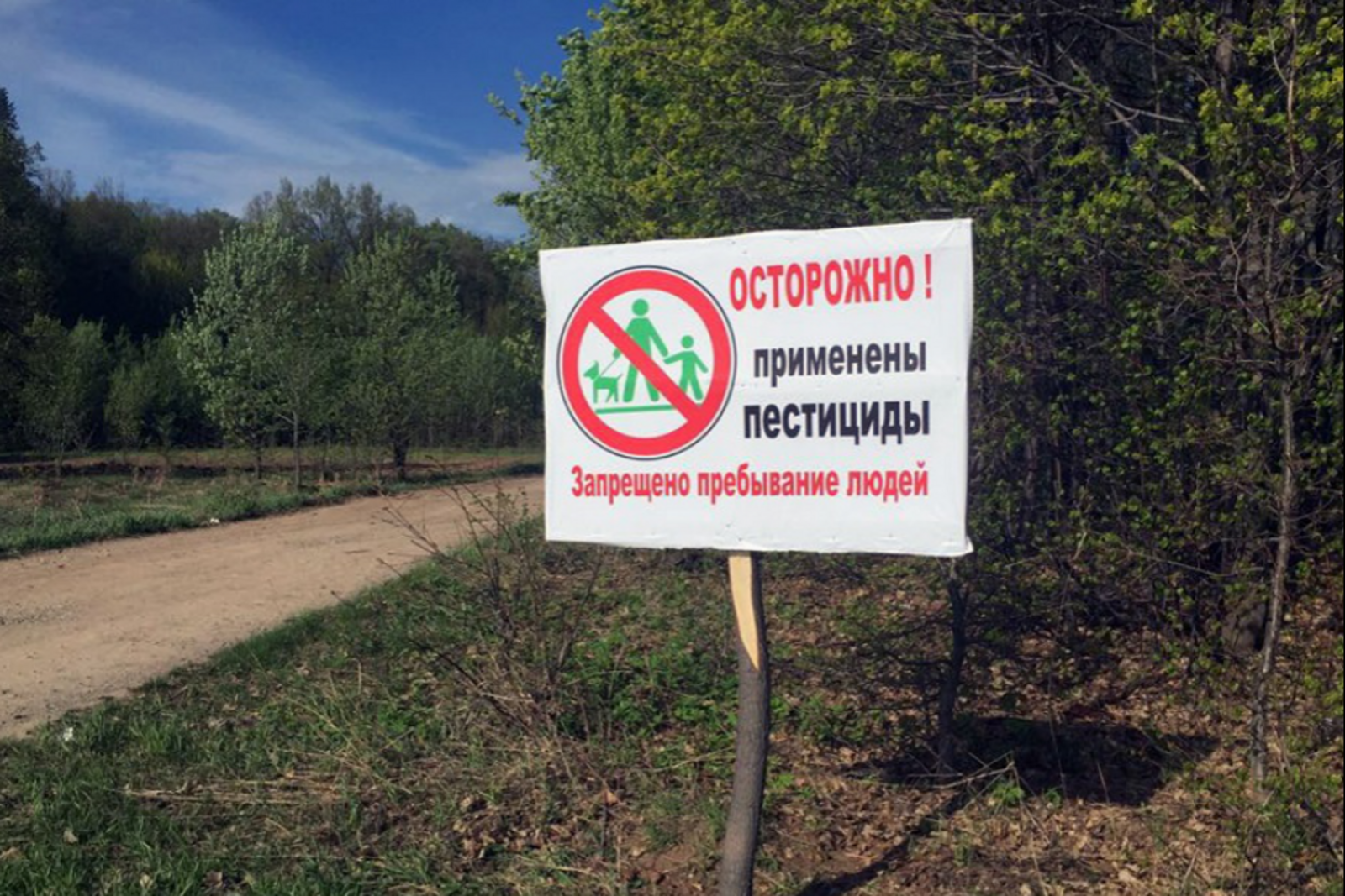 Минлесхоз карта запрета