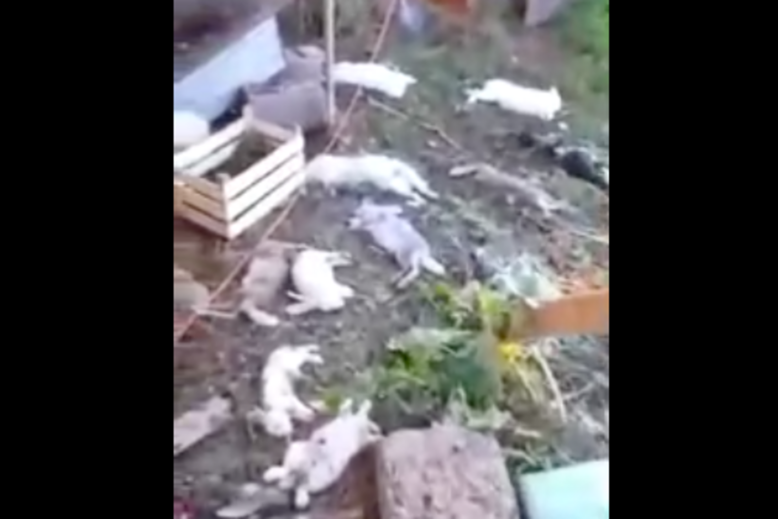 Атака на башкирию