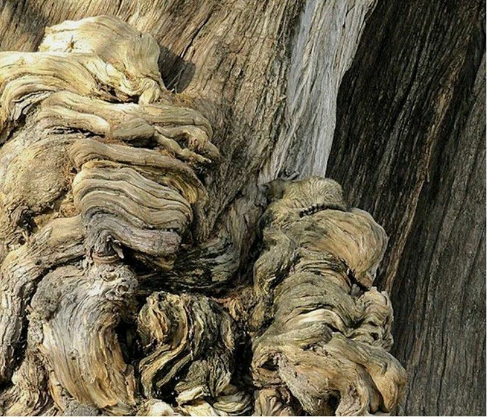 где найти фотографии