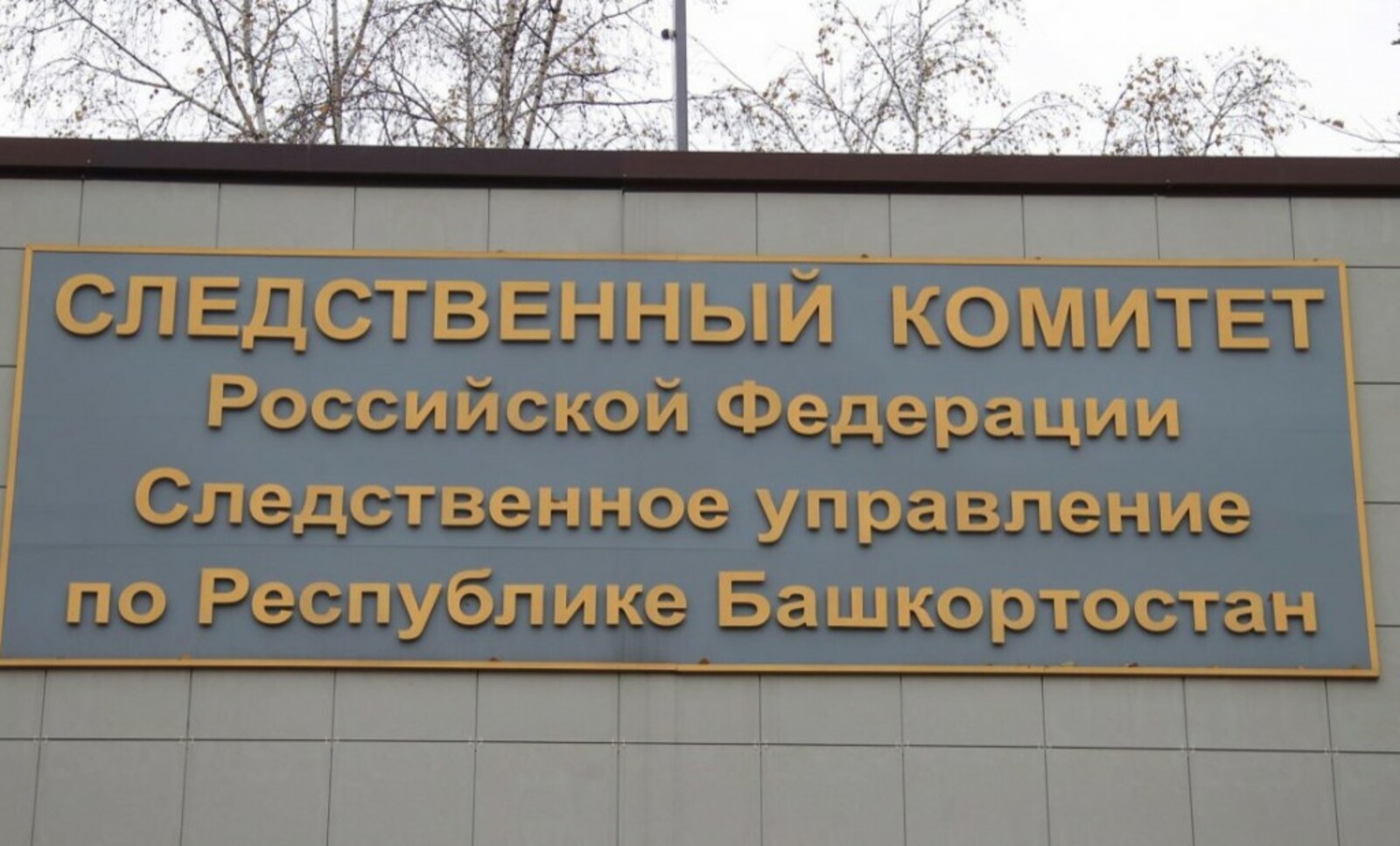 Фото из открытых источников.