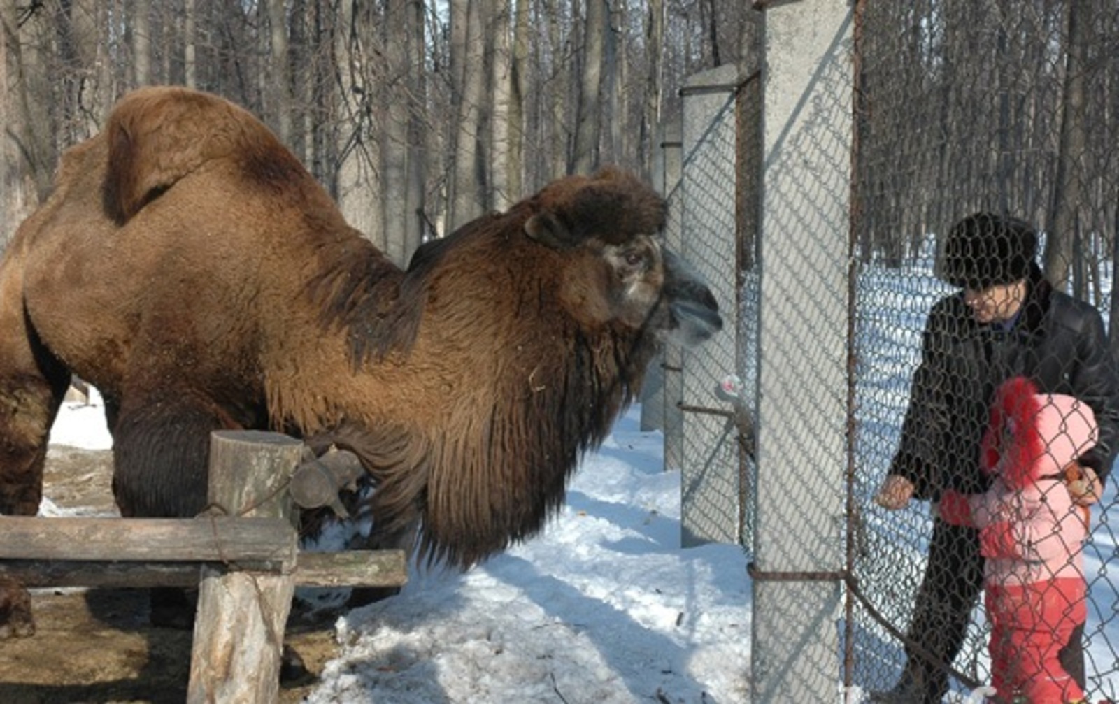 Фото с сайта www.webvechufa.agidel.ru.