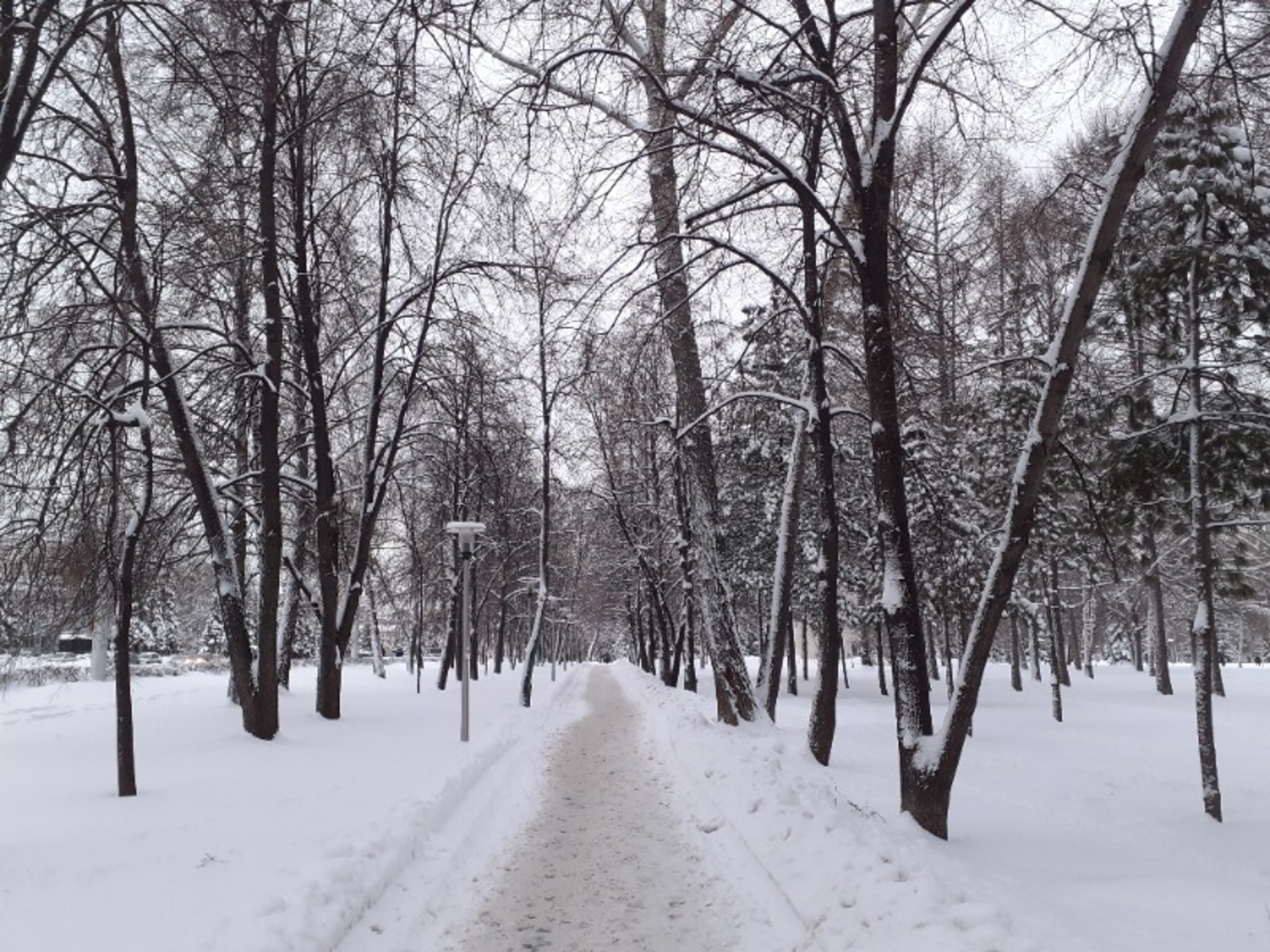 Владимира Шакиева.