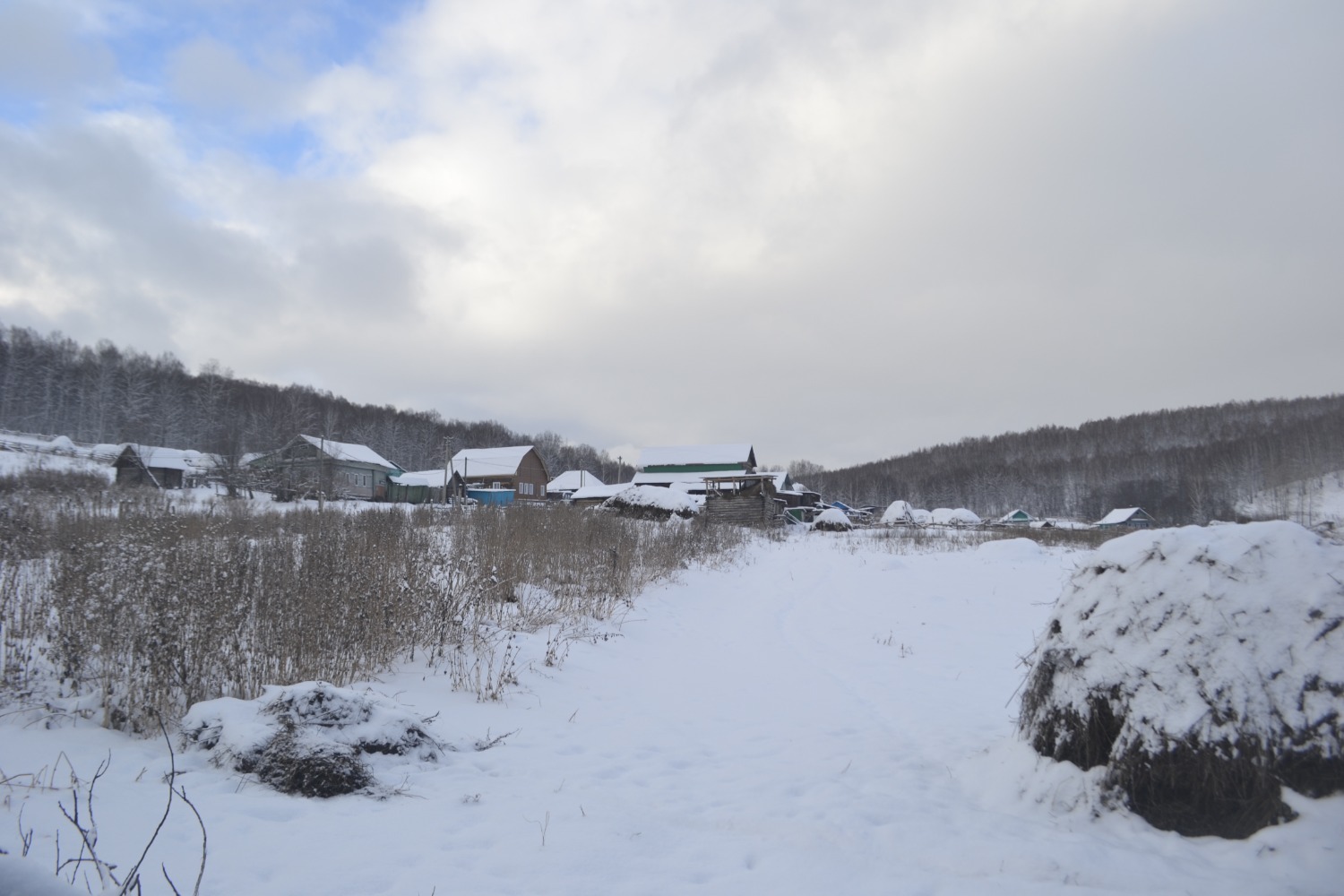 Огород, где найдена печать