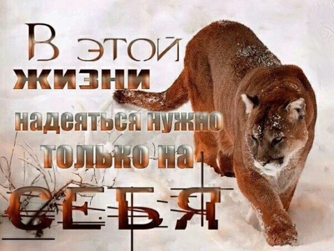 Всегда надейся только на себя картинки