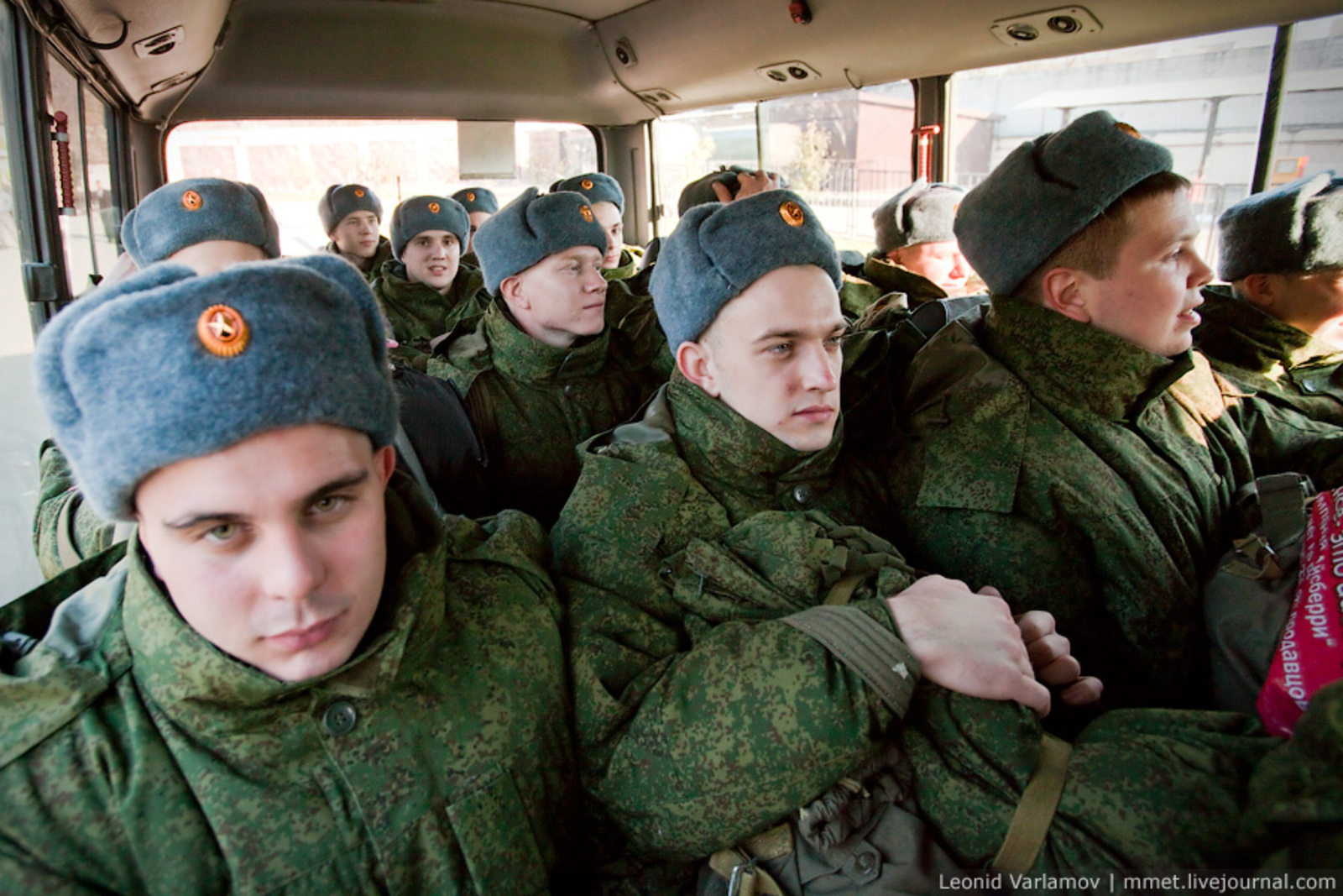 Фото с сайта www.tarnoga35.ru.