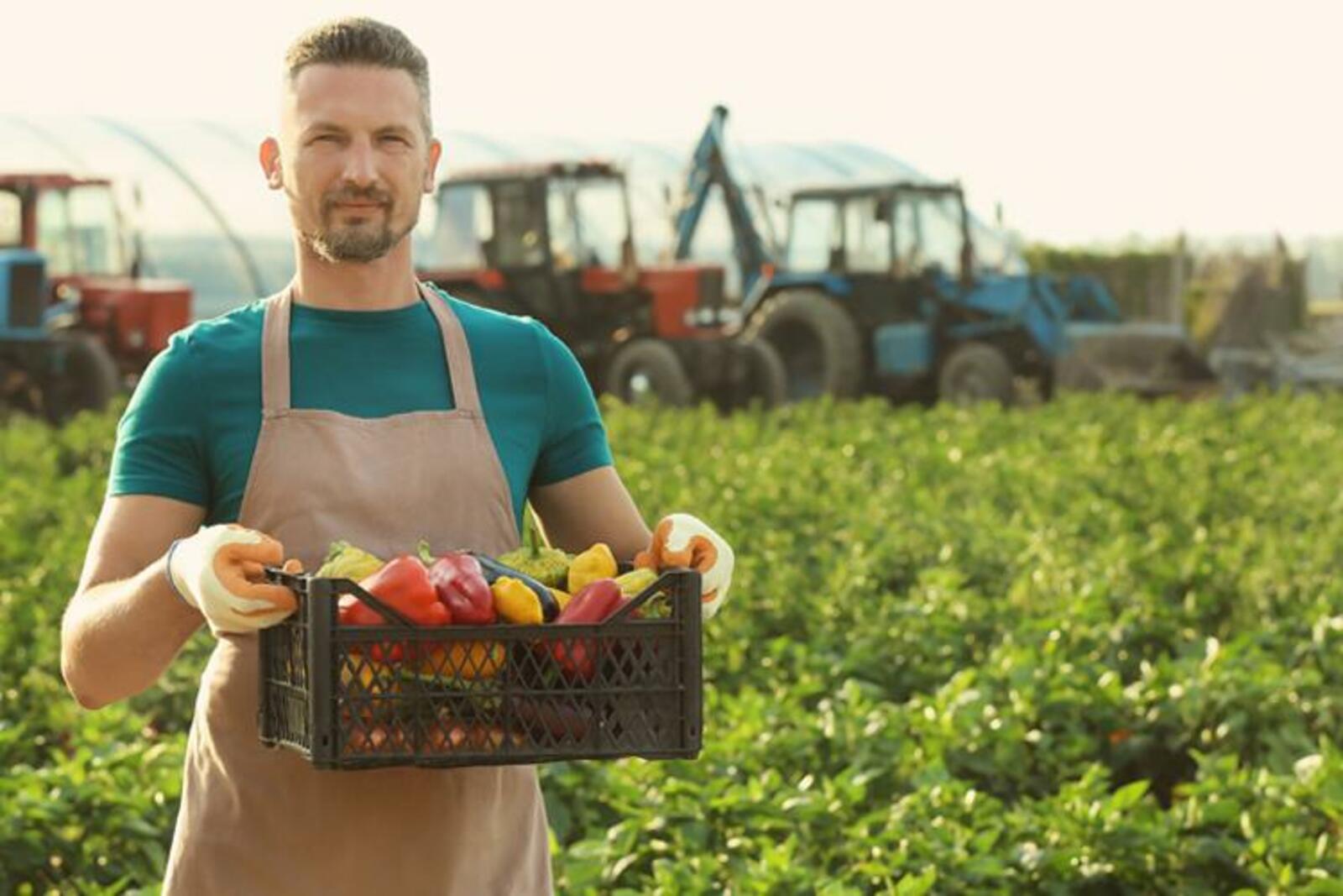 счастливый фермер. Texas и сельское хозяйство. Farmer. джон бретланд фермер. фермерство арт.