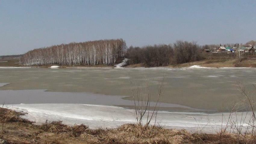 асканыш зимой