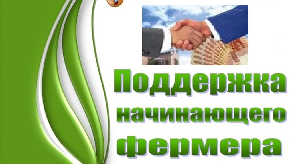 Региональный проект создание системы поддержки фермеров и развитие сельской кооперации