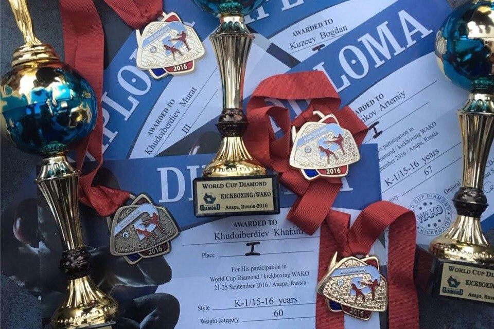 Медали по КИК боксу