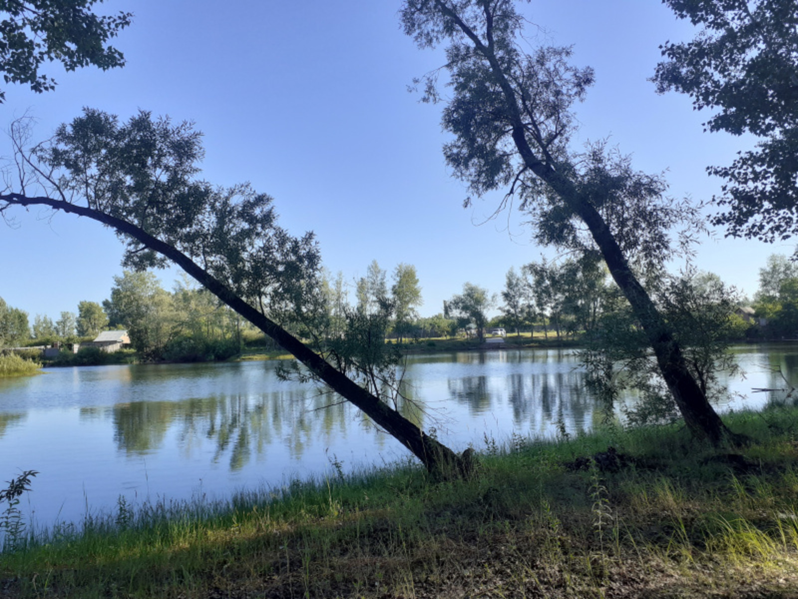 Фото автора.