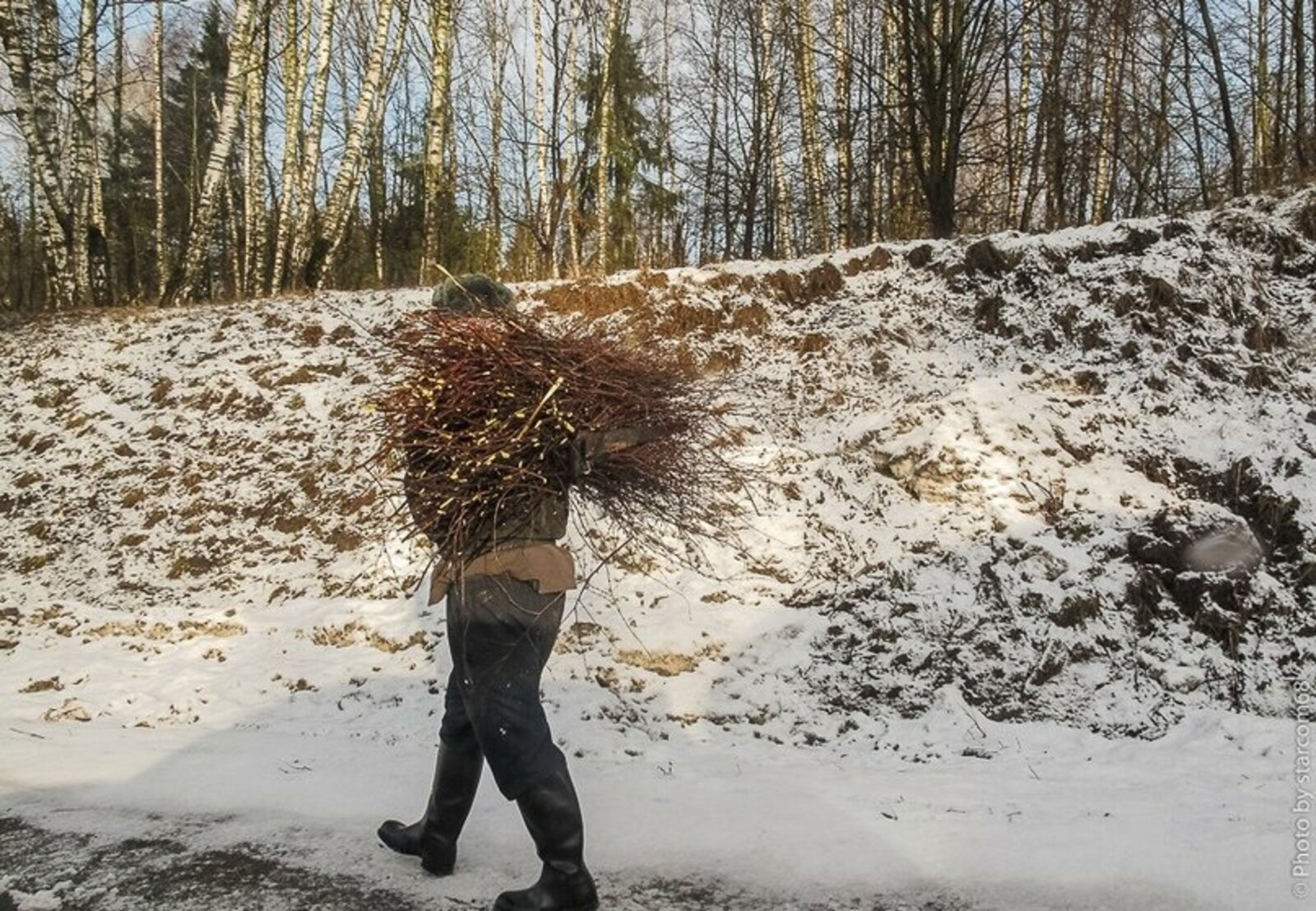 Вязанка Хвороста Картинки