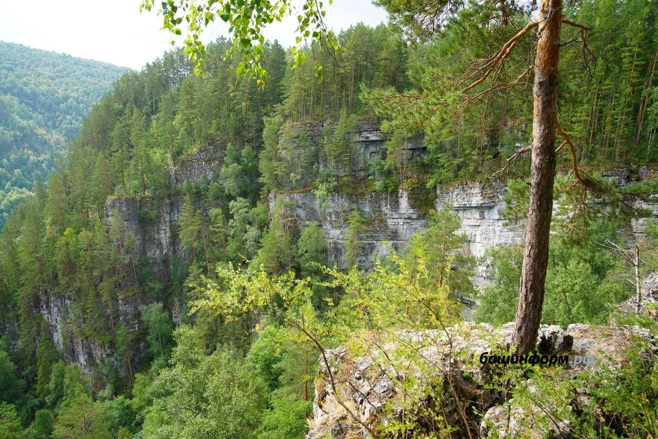 Дубрава лес Башкирия