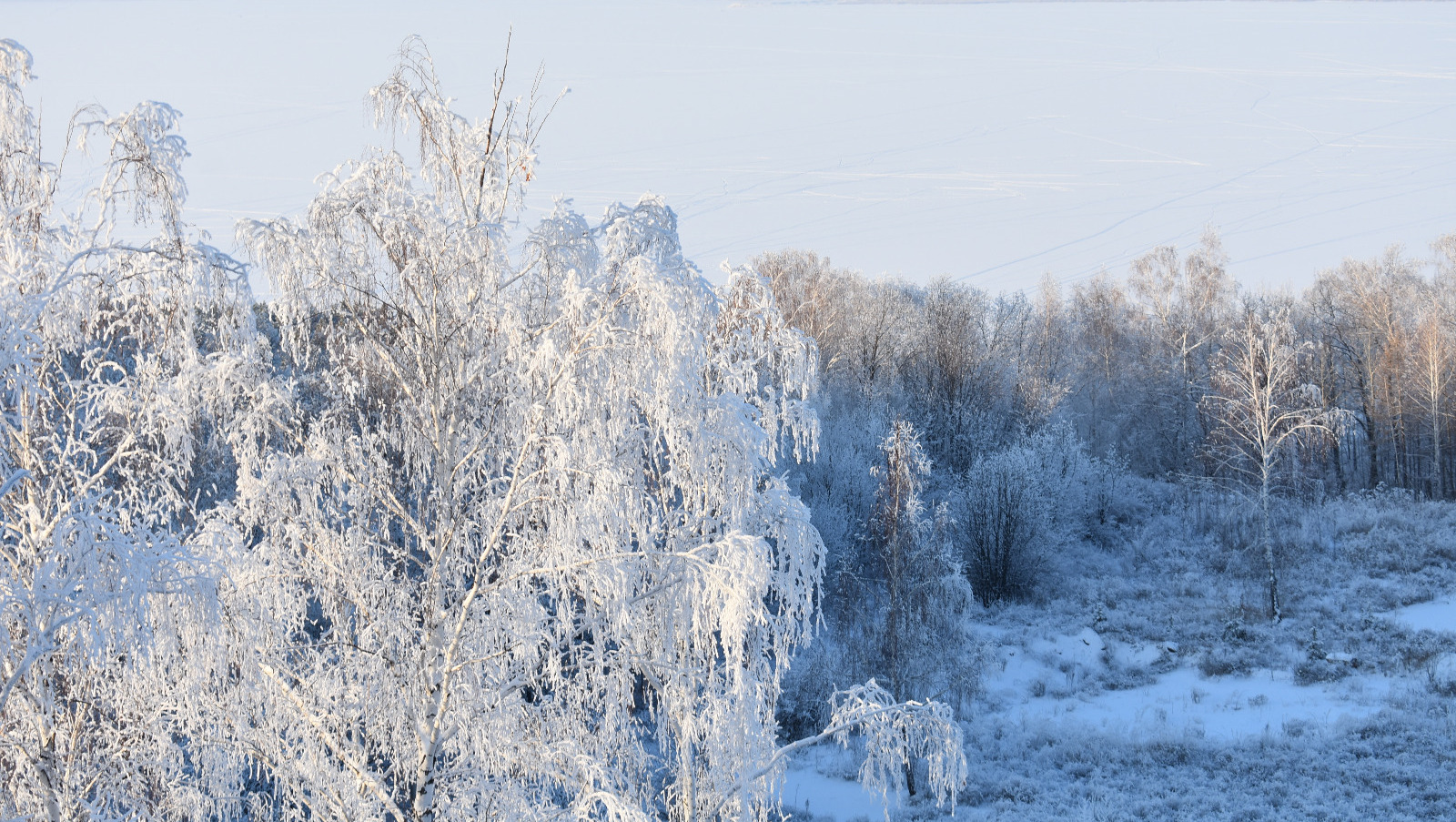 Аномальное потепление. Сорокаградусный мороз. Погода в башкортостане в зимой. Снежный февраль. Пес мороз.