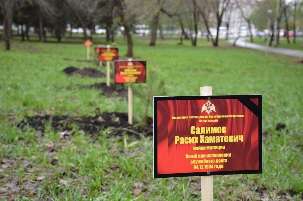 Аллея памяти картинки