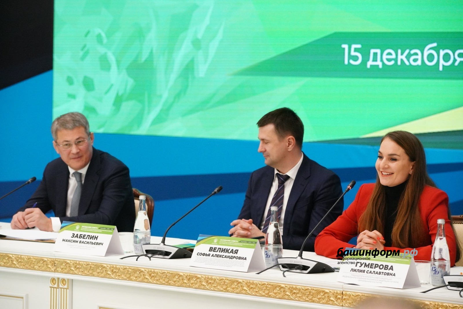 Софья Великая на заседании