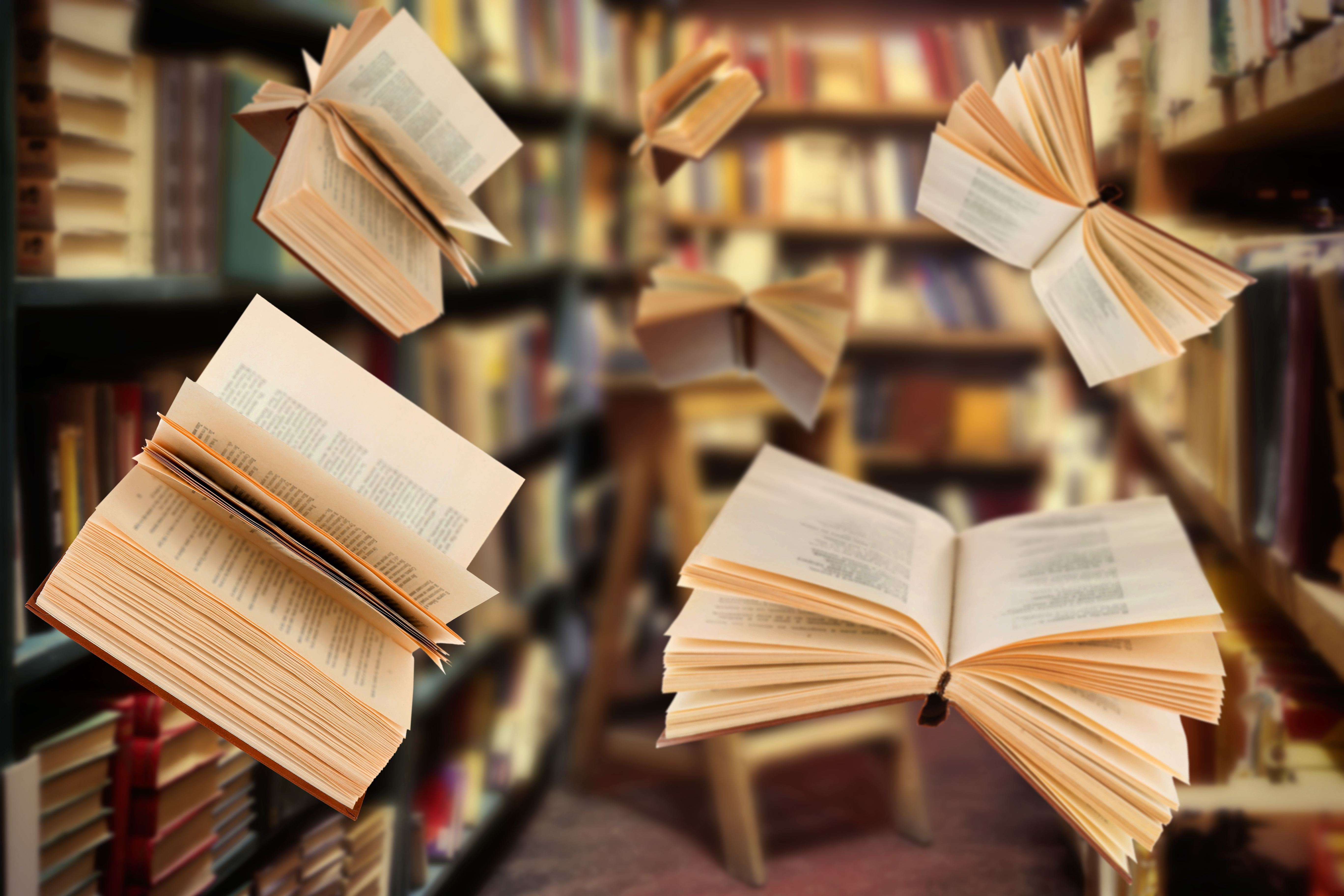 Интересные Картинки С Книжками
