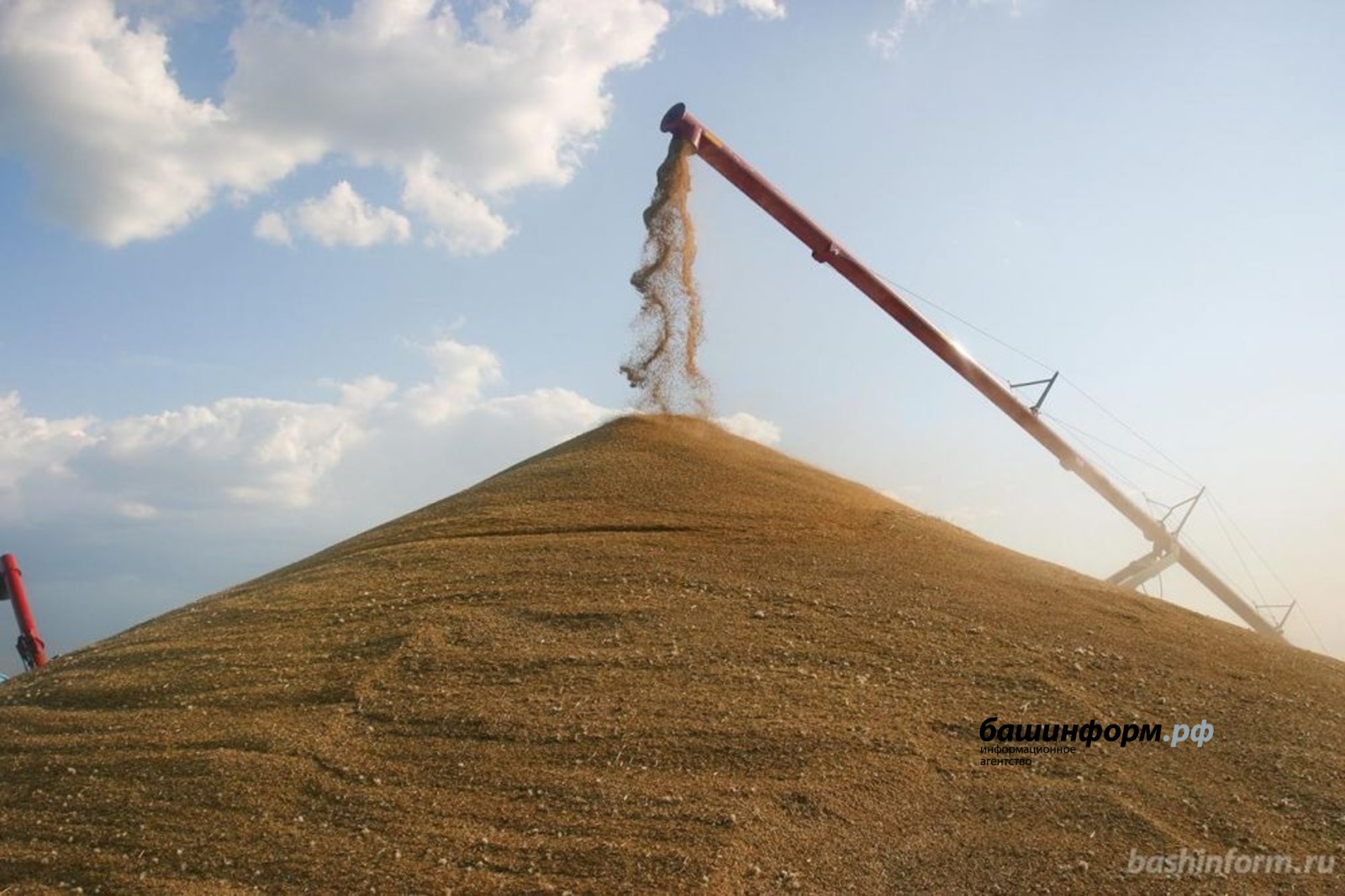 Горы зерна