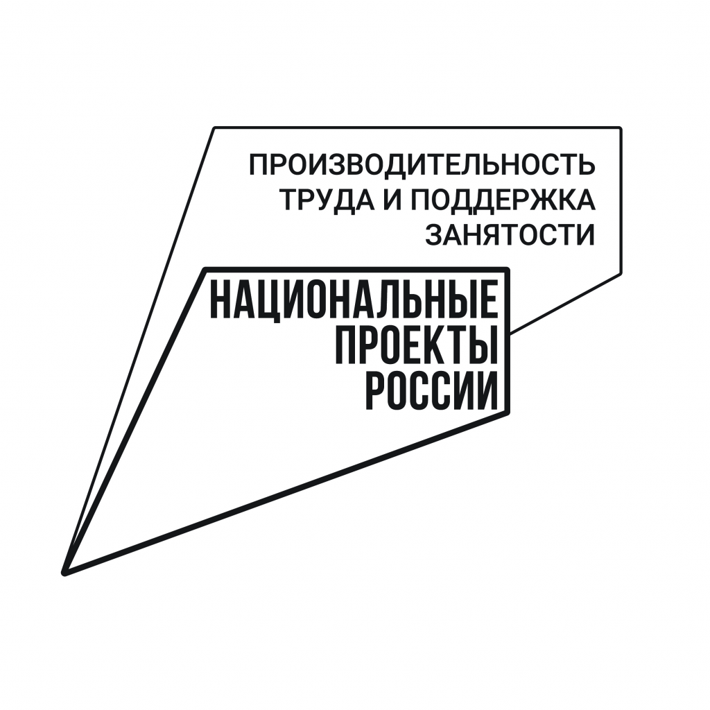 Национальный проект труд и занятость