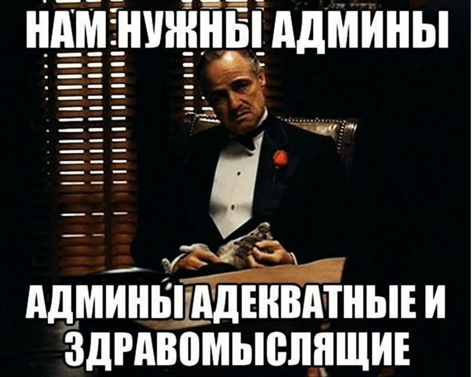Админ Мемы